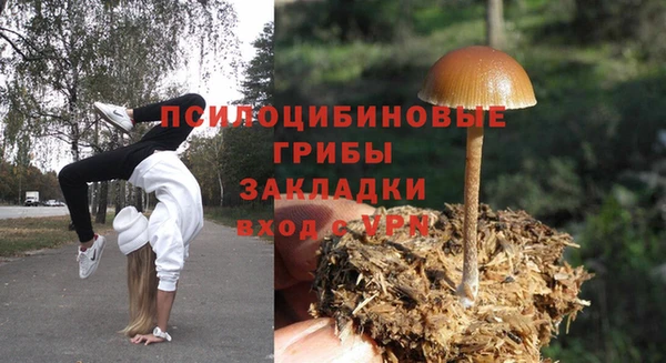 прущая мука Осинники