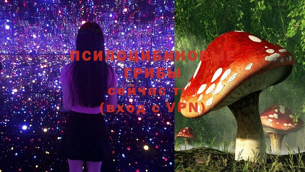 каннабис Пестово