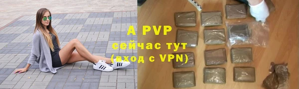 дживик Переславль-Залесский
