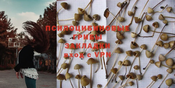 амф Пересвет