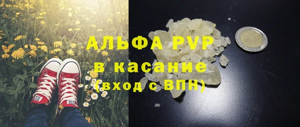 амф Пересвет