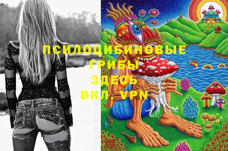 Псилоцибиновые грибы MAGIC MUSHROOMS  Бирюч 