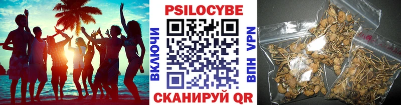 Галлюциногенные грибы мухоморы  цены   Бирюч 